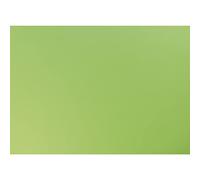 Maildor by Clairefontaine 455319C Pack of 25 Sheets of Coloured Paper 120g Apple Green Format 50x65cm Recycled Smooth Cardboard Handicrafts manual activities
