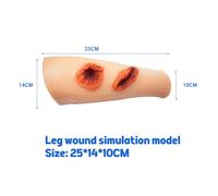 MAIMAILE Wound Packing Trainer, Reusable Wound Trainer, Knee Joint and Bone Model, with 2 Simulated Wounds, Combat Injury Model Gauze Packing for Emergency Care, Trauma Nursing