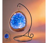 Maimeili Natural Crystal Dinosaur Egg Night Light Healing Stones USB Powered Bedside Lamp for Living Room Bedroom Office Home Feng Shui Decor