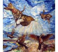 Have You Ever Seen The Jane Fonda Aerobic VHS? - Maine Coon (Yellow Vinyl) [VINYL]