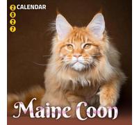 Maine Coon 2027 Calendar - Gentle Giants and Large Shaggy Felines: A Twelve Month Portrait Celebration of the Iconic American Longhair Breed