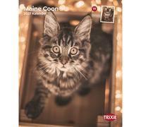 Maine Coon Calendar Trixie Multicolore One size