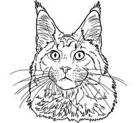 'Maine Coon Cat Head' Rubber Stamp - Unmounted Design for Crafting & Scrapbooking, A7 (RS00038226)