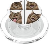 Maine Coon Cat In Photobooth | Funny Cute Cats Expressions PopSockets PopGrip for MagSafe