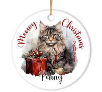 Maine Coon Cat Noel Xmas Tree Hanging Crimbo Baubles With Ribbon Hanging Ceramic Keepsake