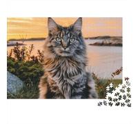 Maine Coon Cat Sunset Jigsaw Puzzle 1000 Pieces Premium Cardstock Thick for Teens 12-18 Concentration Training Gift 70x50cm/1000pcs