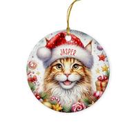 Maine Coon Cat Xmas Ornaments Noel Xmas Tree Hanging Ceramic Keepsake With Ribbon Remembrance Ornament