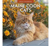 Maine Coon Cats - 2026 Square Wall Calendar - by Red Robin Publishing