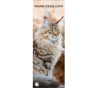 Maine Coon Cats 2026 Wall Calendar, 12-Month Slim Format, Made in England