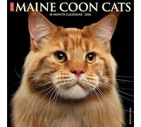 Maine Coon Cats 2026 Wall Calendar