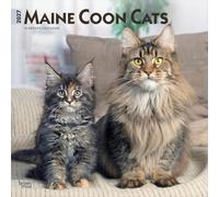 Maine Coon Cats 2027 12 X 24 Inch (Hanging) Monthly Square Wall Calendar Plastic-Free: Original BrownTrout-Kalender [Mehrsprachig] [Kalender]