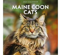 Maine Coon Cats - 2027 Square Wall Calendar - by Red Robin Publishing