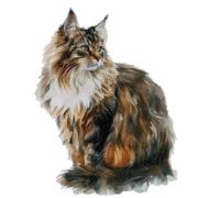 Maine Coon Counted Cross Stitch kit, 14ct, 150x199 Stitch, 26x36cm, cat Cross Stitch kit