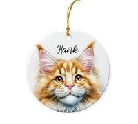 Maine Coon Crimbo Baubles Christmas Tree Decorations Ceramic Hanging With Ribbon Memorial