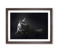 Maine Coon Kitten Modern Art Framed Print | A4 Walnut Framed Wall Art | Ready to Hang | Modern Animal Picture | Living Room Bedroom Lounge Office