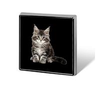 Maine Kitten Square Brooch Badges Pin Metal Lapel Pins | Classic Unisex Jewellery Jacket Hat Backpack Bag Accessories Decor
