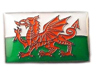 Mainly Metal Enamel Pin Badge Wales Dragon Welsh Flag Saint David Baner Cymru