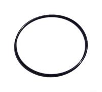 Maintenance ORing Seal for Intex SPS Filter Pumps Promotes Optimal Functionality (1pc)