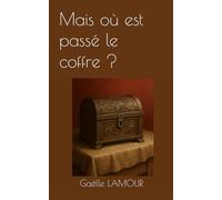 Mais où est passé le coffre ? (Frère et sœur mènent l'enquête)