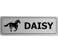 Maisie Moo Gifts Limited Personalised Horse Metal Name Plate Sign Stable Plaque (No Holes, Brushed Steel)