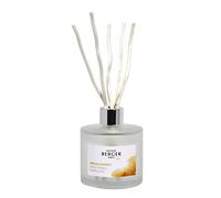 MAISON BERGER AROMA Energy Sparkling Zest Scented Bouquet