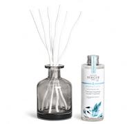 MAISON BERGER Aroma Happy Scented Bouquet 180 ml