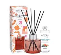 Maison Berger - Fresh Spirit Summer Mini Bouquet