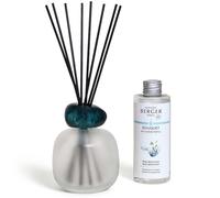 Maison Berger - Frosted Mineral Scented Bouquet