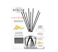 Maison Berger Orange Blossom Clear Glass Reed Diffuser Scented Bouquet - 6 Black Reed Sticks with 100 mL Fragrance Refill - Made in France