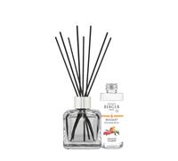 MAISON BERGER Reed Diffuser Goji Berries Glaçon Transparent, 100 ml | Complete set: clear glass bottle, 6 black reeds and 100 ml of Goji Berries, no flame and no electricity
