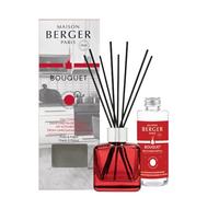 MAISON BERGER Reed Diffuser My Kitchen Free from Unpleasant Odours, 100 ml | Complete set: tinted glass bottle, 6 black reeds and 100 ml of My Kitchen Free from Unpleasant Odours