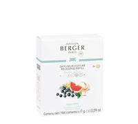 MAISON BERGER - Set of 2 Car Diffuser Refills - Ceramic System - Diffusion 4 to 6 Weeks - Lampe Berger Fragrance - Made in France (Fresh Spirit)
