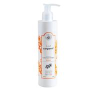 Maison du Savon de Marseille - French Body Lotion for Dry Skin - Fragranced Moisturiser with Organic Argan Oil - 250ml