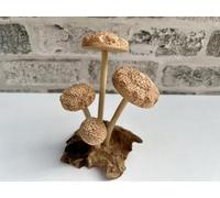 MAISONICA 4 Shitake Wood Mushrooms on Wooden Driftwood Base Ornament Sculpture Gift