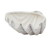 MAISONICA Ceramic Shell Conch Fruit Nuts Bowl Dish Oddments Ornament Coastal Grey