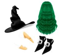 Maiteenly Halloween Witch Cosplay Party Costume Accessories Set Witch Hat Hair Wig Shoe Covers Nose Chin for Adult, Green, suitable for adult