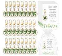 Maitys 24 Set St. Patrick's Day Gifts Four-leaf Clover Lucky Gifts St. Patrick's Day Keychains with St. Irish Lucky Cards and Bags