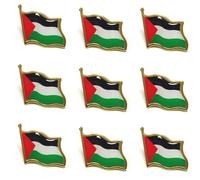 maiyixiang 9PCS Palestine Brooch Pin Palestinian National Flags Brooches for Suit Jacket Palestine National Enamel Lapel Badge Armband for Women Men