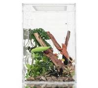 maiyuolg 10 Gallon Reptile Tank - 12x12x18 Crested Gecko Tank Enclosure - Acrylic Habitat with Ventilation for Lizard, Spiders & Snakes