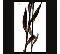 Maja S. K. Ratkje - Sult