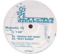 Majestic 12 - I Am [12" VINYL]