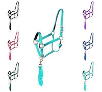Majestic Ally Halter with Lead Rope for Horses-Adjustable Chin and Crown-Rolled Throat Latch with Replaceable Snap-Padded Noseband-Heavy Duty Rose Gold Finish Hardware-Full (Turquoise, Cob)
