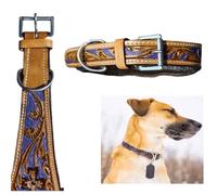 Majestic Ally Leather Dog Collar with Adjustable, Padded Fit for Walking, Hiking, and Running, Designer Western Wear for Puppies, Fancy Colors (Purple, Medium)
