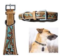 Majestic Ally Leather Dog Collar with Adjustable, Padded Fit for Walking, Hiking, and Running, Designer Western Wear for Puppies, Fancy Colors (Turquoise - Natural, Large)