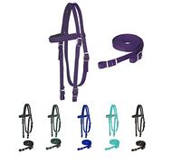 Majestic Ally Nylon Padded Browband Headstall with Reins for Horses (Purple, Full)