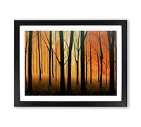 Majestic Autumn Forest Framed Print | A2 Black Framed Wall Art | Ready to Hang | Modern Landscape Picture | Living Room Bedroom Lounge Office