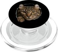 Majestic Highlander Cat Amber Eyes Peeking Through PopSockets PopGrip for MagSafe