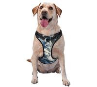 Majestic Ice Dragon Vintage No Pull Dog Harness Adjustable Reflective Oxford Easy Control Medium Large Dog Harness