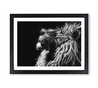 Majestic Lion Illustration In Abstract Modern Art Framed Wall Art Print, Ready to Hang Picture for Living Room Bedroom Home Office Décor, Black A4 (34 x 25 cm)