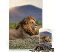 Majestic Lion Resting in The Savannah 1000 Piece Jigsaw Puzzles- Reason Skill Smooth Joint Happy Challenge (38x52cm)